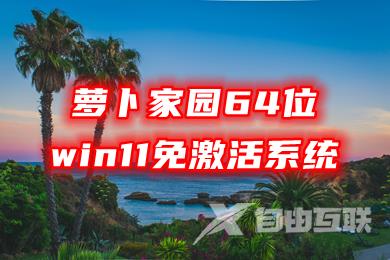 萝卜家园64位win11免激活系统