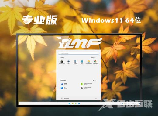 雨林木风win11微软专业版系统下载 win11官方iso镜像系统下载 雨林木风win11微软专业版系统下载 win11官方iso镜像系统下载