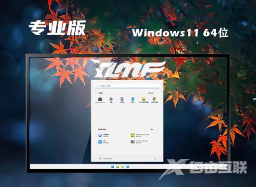 雨林木风win11微软专业版系统下载 win11官方iso镜像系统下载 雨林木风win11微软专业版系统下载 win11官方iso镜像系统下载