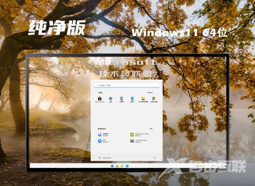技术员联盟win11官方纯净版系统下载 windows11精简安装版系统下载