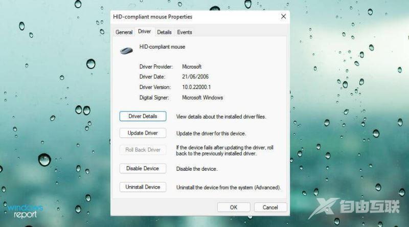 笔记本电脑鼠标触摸板没反应win11 windows11触摸板用不了