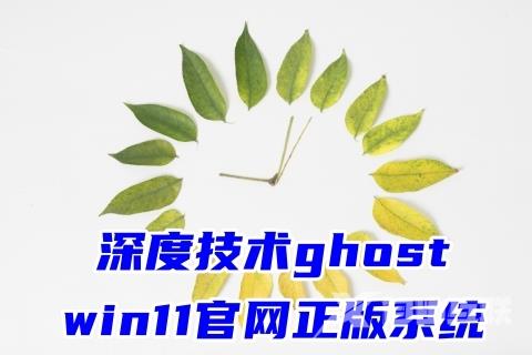 深度技术ghost win11官网正版系统