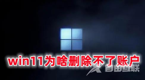 win11为啥删除不了账户 win11如何删除账户
