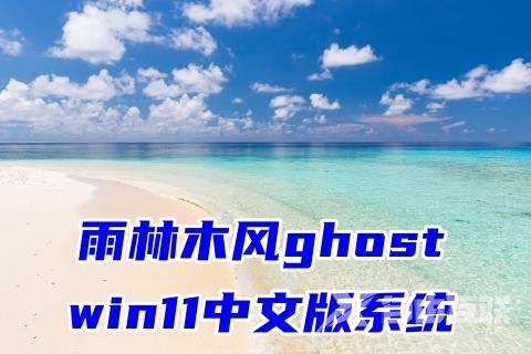 雨林木风ghost win11中文版系统