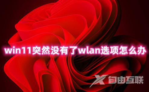 win11突然没有了wlan选项怎么办 win11无线网络设置看不到wlan的解决办法 win11突然没有了wlan选项怎么办 win11无线网络设置看不到wlan的解决办法