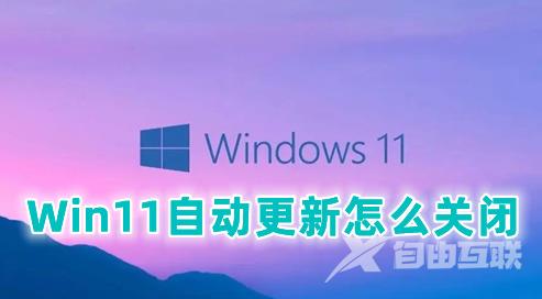 Win11自动更新怎么关闭 彻底关闭Win11自动更新最全方法 Win11自动更新怎么关闭 彻底关闭Win11自动更新最全方法