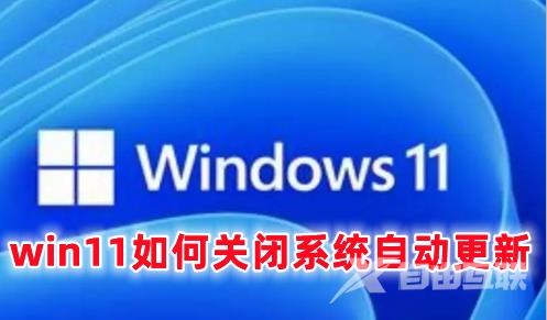 win11如何关闭系统自动更新 win11彻底关闭自动更新的方法分享