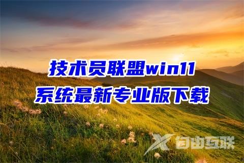 技术员联盟win11系统最新专业版