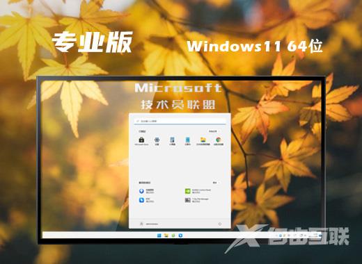 技术员联盟win11系统最新专业版下载 windows11稳定永久免激活系统镜像文件下载