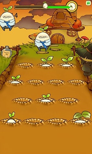 mandora