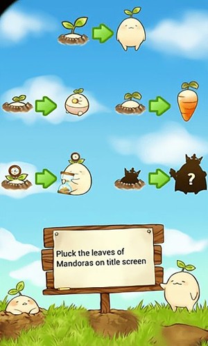mandora