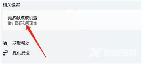 Win11为什么关闭不了触摸板？Win11无法关闭触摸板的解决方法