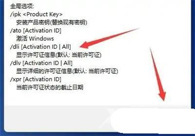Win11激活信息怎么看？Win11激活信息查看方法