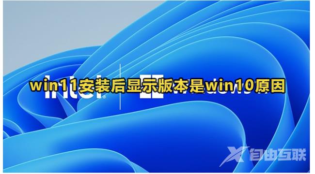 win11安装后显示版本是win10怎么回事?(已解决)