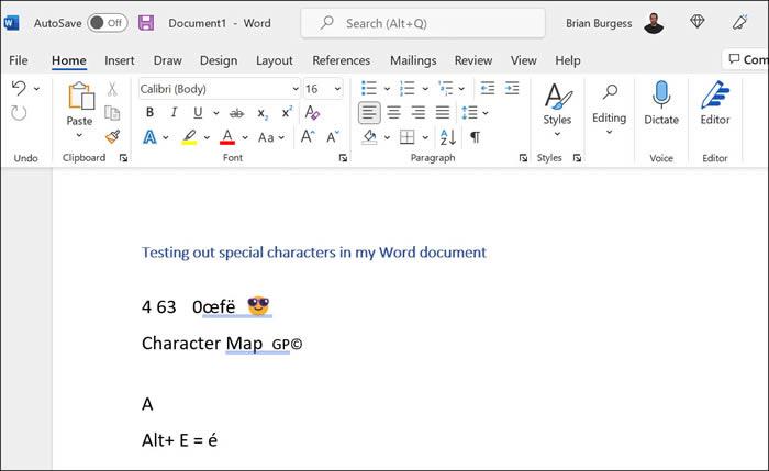 Win11特殊字符怎么输入?Win11专业版输入特殊字符的方法