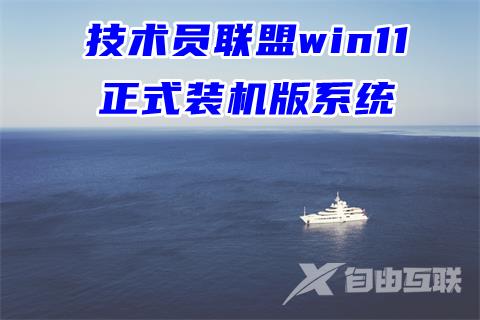 技术员联盟win11正式装机版系统下载
