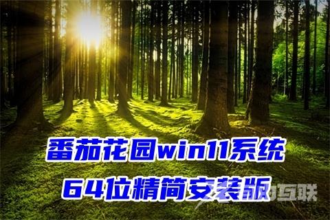 番茄花园win11系统64位精简安装版下载