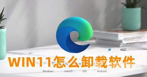 WIN11怎么卸载软件