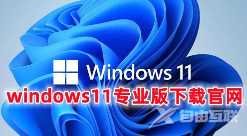 windows11专业版下载官网