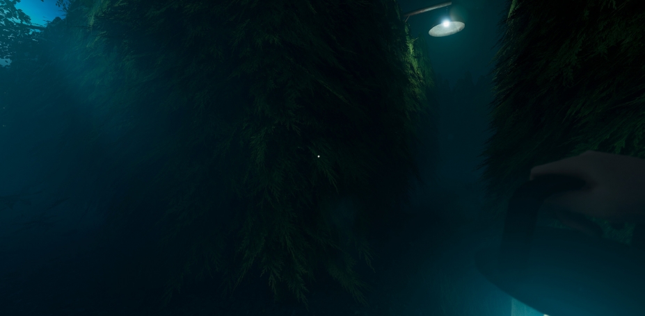 迷宫探险中文联机版