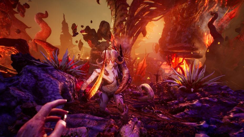 魅魔免安装中文终极版