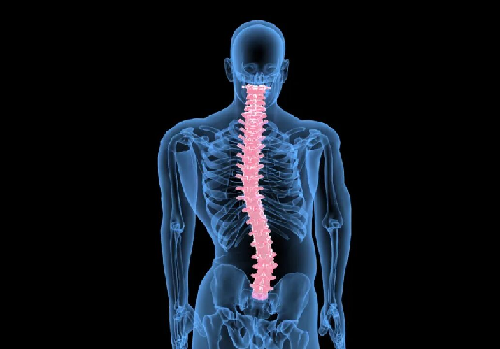 深睿医疗与武汉协和医院联合发布“合枢-脊柱侧弯大模型”