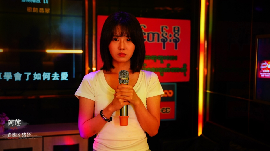 血薪记：罪恶园区官方中文版