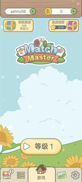 匹配大师游戏 1