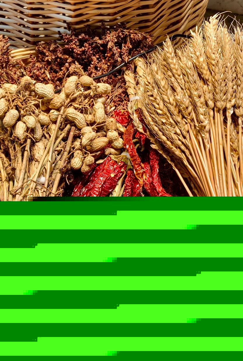 iQOO Z11 Turbo全面评测:中等尺寸也有满杯性能