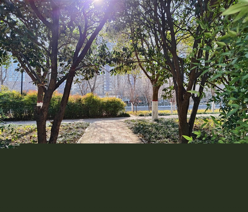 满杯实力无需取舍!iQOO Z11 Turbo评测:第五代骁龙8+Q2独显 新的中端性能王