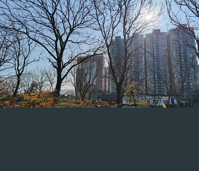 满杯实力无需取舍!iQOO Z11 Turbo评测:第五代骁龙8+Q2独显 新的中端性能王