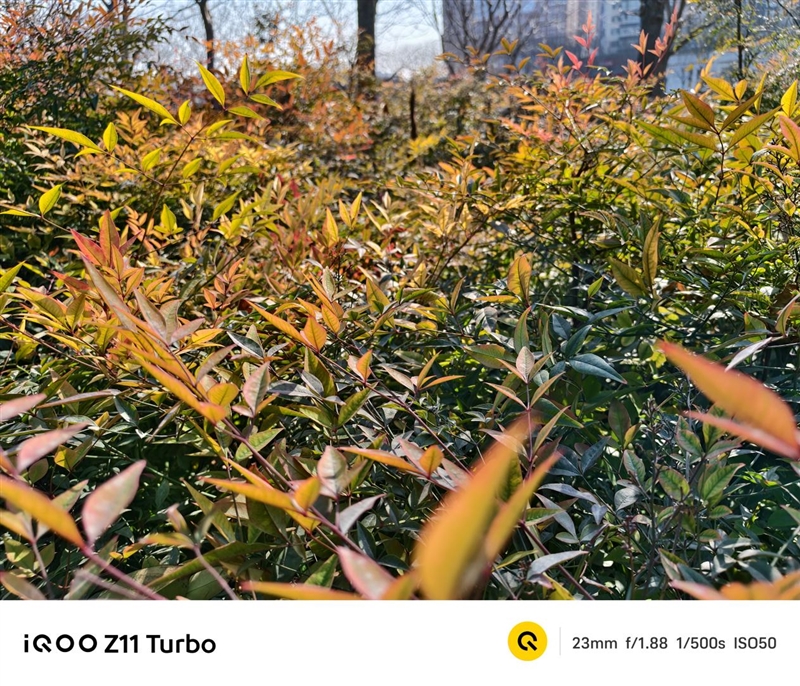 满杯实力无需取舍!iQOO Z11 Turbo评测:第五代骁龙8+Q2独显 新的中端性能王