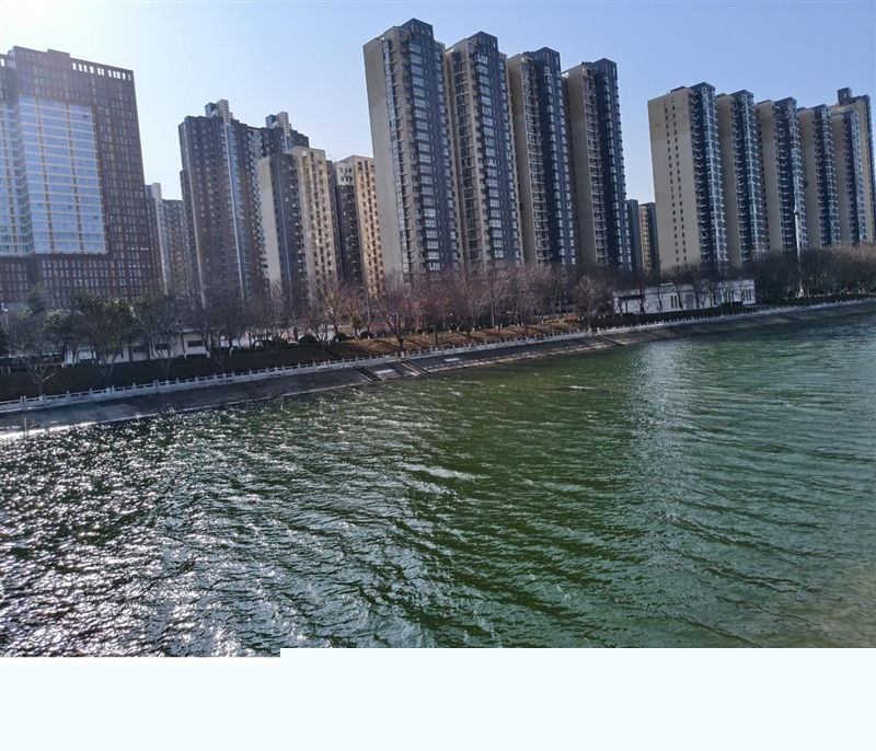 满杯实力无需取舍!iQOO Z11 Turbo评测:第五代骁龙8+Q2独显 新的中端性能王