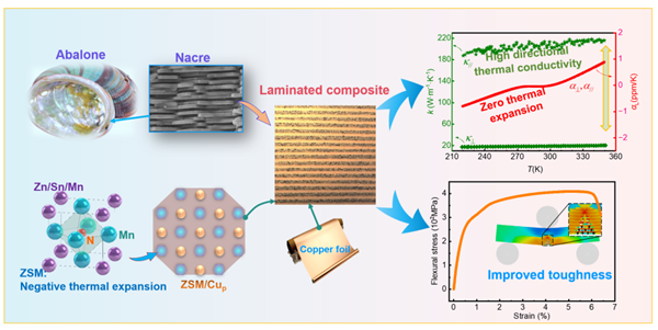 我国团队突破零膨胀复合材料性能极限：以竹子为灵感，可用于芯片和散热器等
