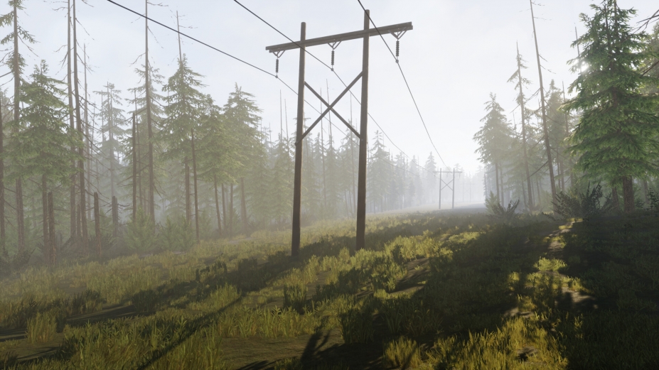 VEIN免安装绿色版