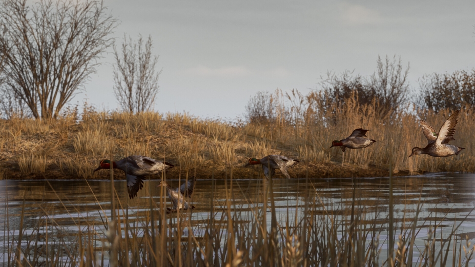 BULT：狩猎模拟器绿色版