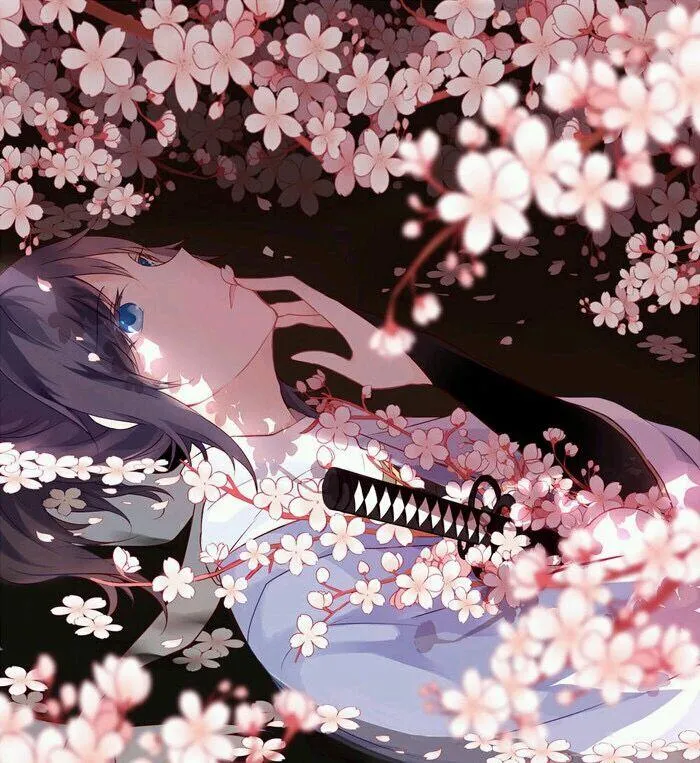 1768815472305308.png 樱花动漫2.png