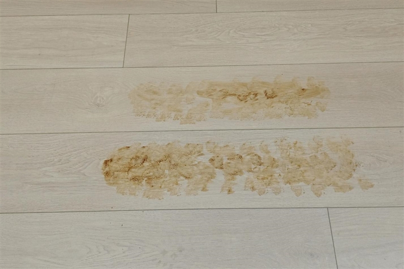 吸力狂飙35000Pa！石头G30S Pro首发评测：扫拖自清洁一步到位 懒人狂喜