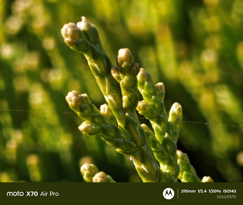 联想moto X70 Air Pro AI手机评测：轻薄AI影像旗舰 随手一拍就是8K大片