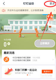 如何开启钉钉运动捐步