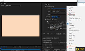 pr视频文件导出只有几kb无法正常播放怎么办