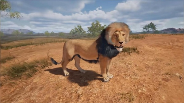 模拟狮子捕猎战场