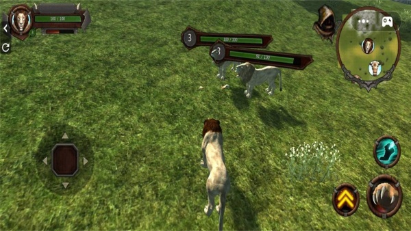 模拟狮子捕猎战场