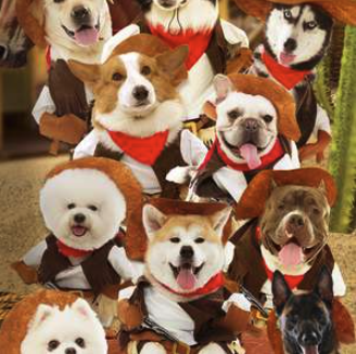 1769583880251865.png QQ20260128-150010.png