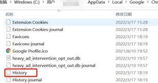 如何查看与导出Google个人搜索历史