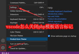如何在vscode中关闭php模板语言标记