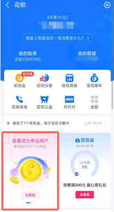 支付宝花呗便利店周卡使用规则是什么