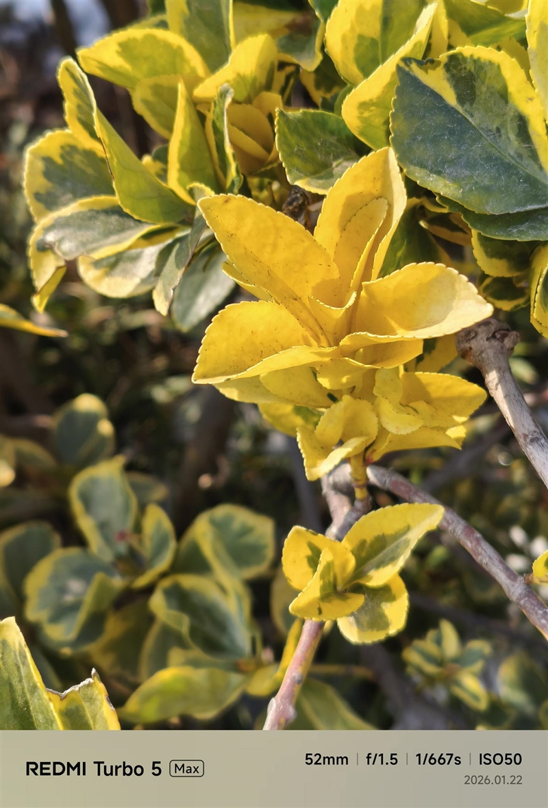 9000mAh电池+满血天玑9500s! REDMI Turbo 5 Max全面评测:这次把中端机的桌子掀了