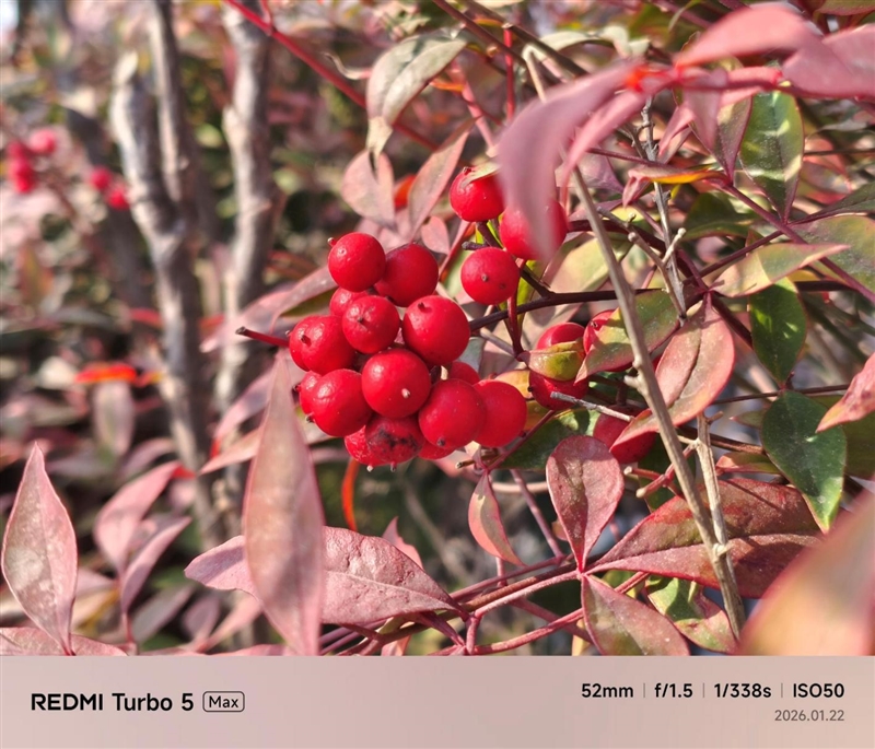 9000mAh电池+满血天玑9500s! REDMI Turbo 5 Max全面评测:这次把中端机的桌子掀了