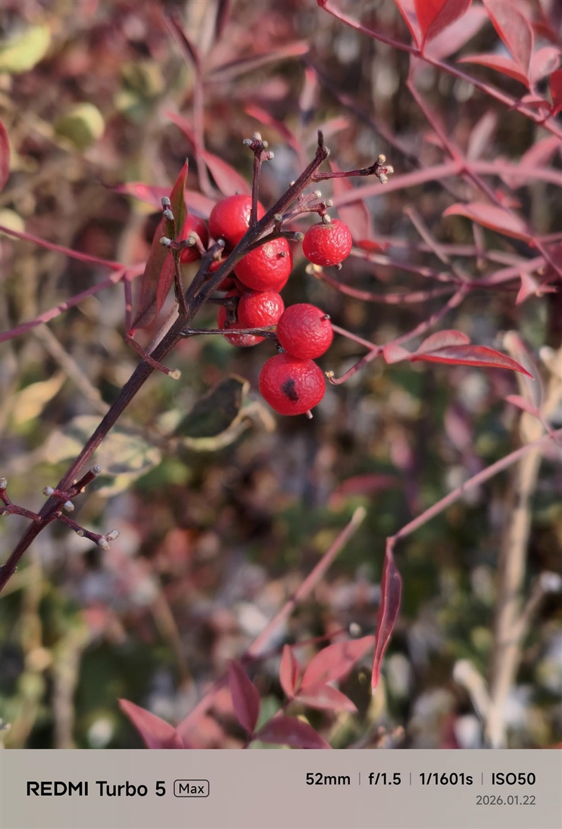 9000mAh电池+满血天玑9500s! REDMI Turbo 5 Max全面评测:这次把中端机的桌子掀了